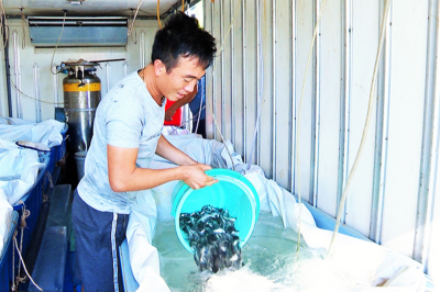 Trường Đại học Nha Trang: Nhiều Thành tựu trong nghiên cứu khoa học