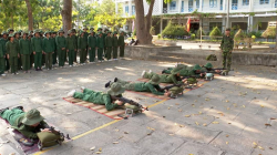 Hình ảnh Hoạt động